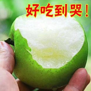 ���Xɽ���桿�Ϙ�����֭�����������rˮ��9����l