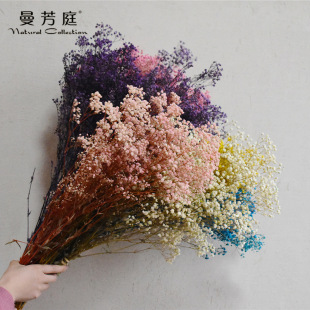 Dried Flower Bouquet Gypsophila Big Purple Dried Flower Indoor Living Room Ornaments Flower Arranging Eternal Flower Factory Direct Marketing