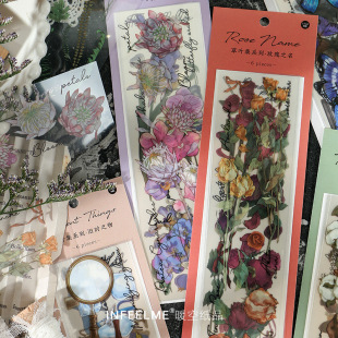 Infeel.MePET�N�����~��ϵ���֎�DIY�b��N��6����6����ϵ�֎��N