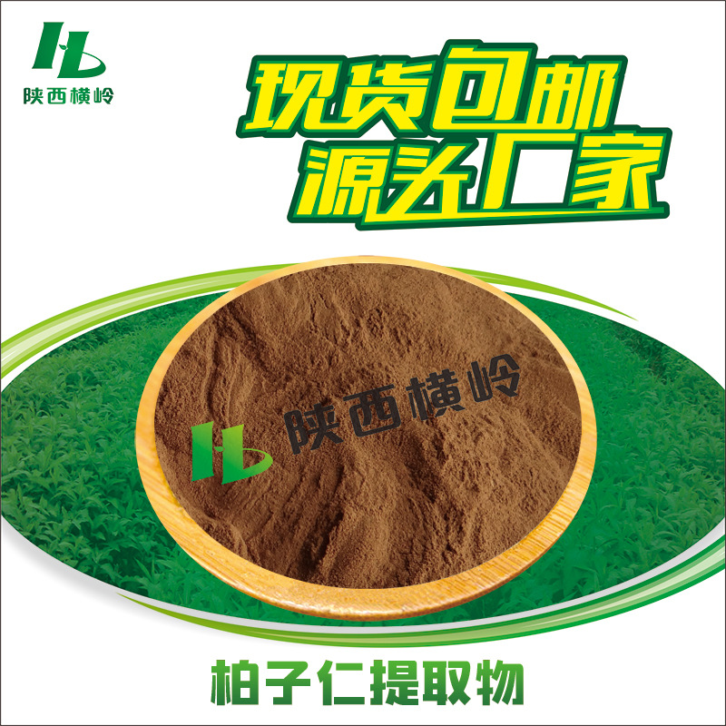 柏子仁提取物30:1水溶柏子仁粉侧柏子/柏实提取物1KG起订量大优惠