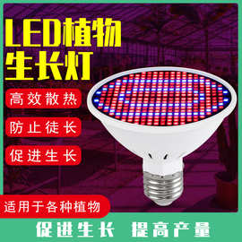 led植物灯220V育苗生长补光灯 E27红蓝光126灯200灯植物生长灯泡