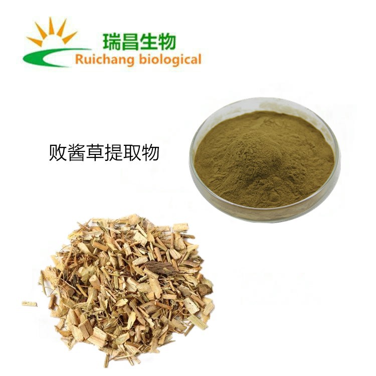 败酱草提取物10:1  水溶性败酱草浸膏粉 质量稳定