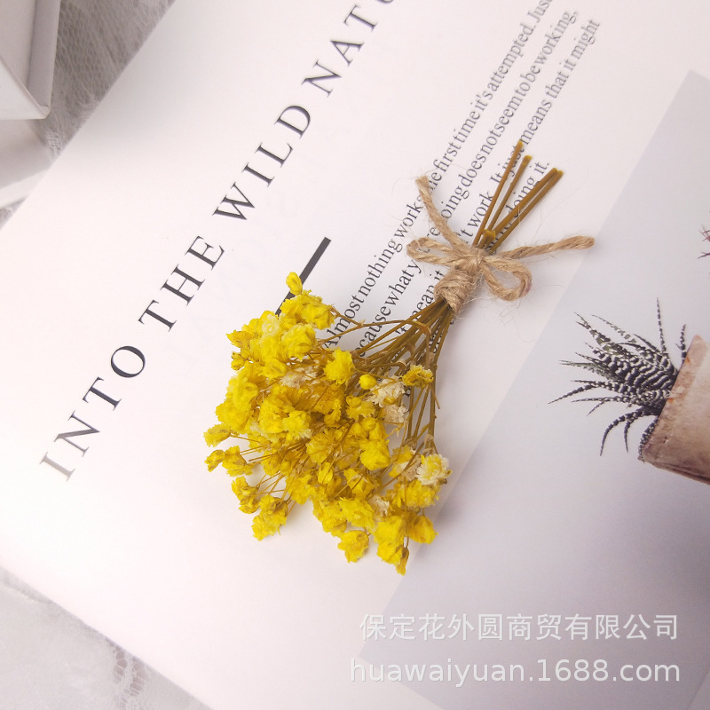 Mini ramo de flores secas, caja de regalo de rosas, decoración de tarjetas, material DIY, accesorios de fotografía, regalos de flores