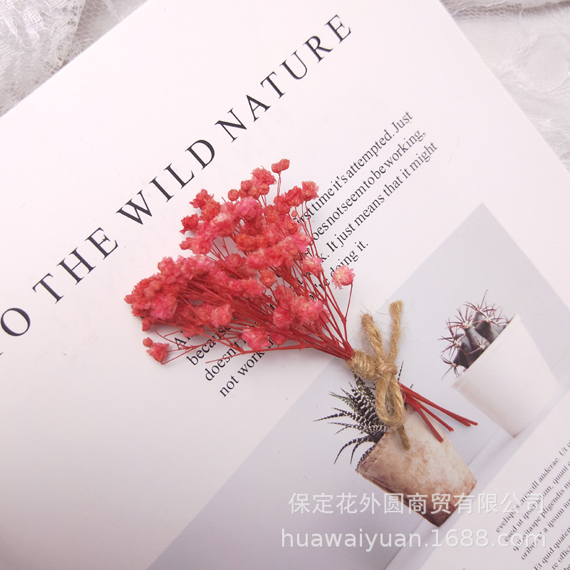 Mini ramo de flores secas, caja de regalo de rosas, decoración de tarjetas, material DIY, accesorios de fotografía, regalos de flores