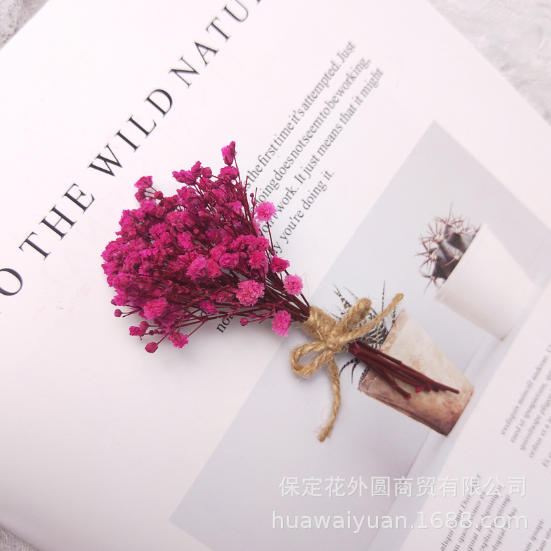 Mini ramo de flores secas, caja de regalo de rosas, decoración de tarjetas, material DIY, accesorios de fotografía, regalos de flores