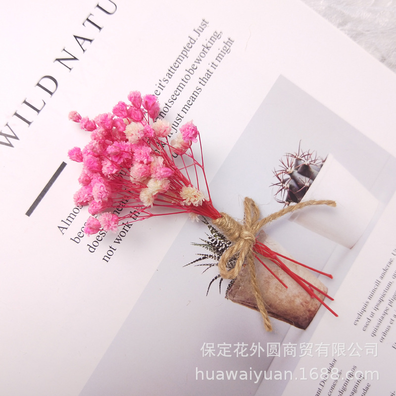 Mini ramo de flores secas, caja de regalo de rosas, decoración de tarjetas, material DIY, accesorios de fotografía, regalos de flores