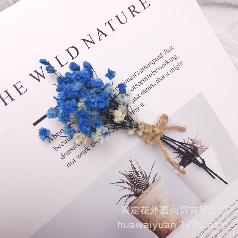 Mini ramo de flores secas, caja de regalo de rosas, decoración de tarjetas, material DIY, accesorios de fotografía, regalos de flores