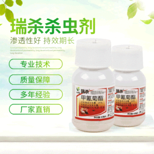 �𚢼����֬���x�����x�t֩�����xС�˶�������\����20%