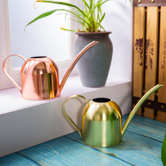 Stainless steel long mouth flower watering kettle metal green plant watering kettle golden watering kettle small watering kettle gardening 500ML