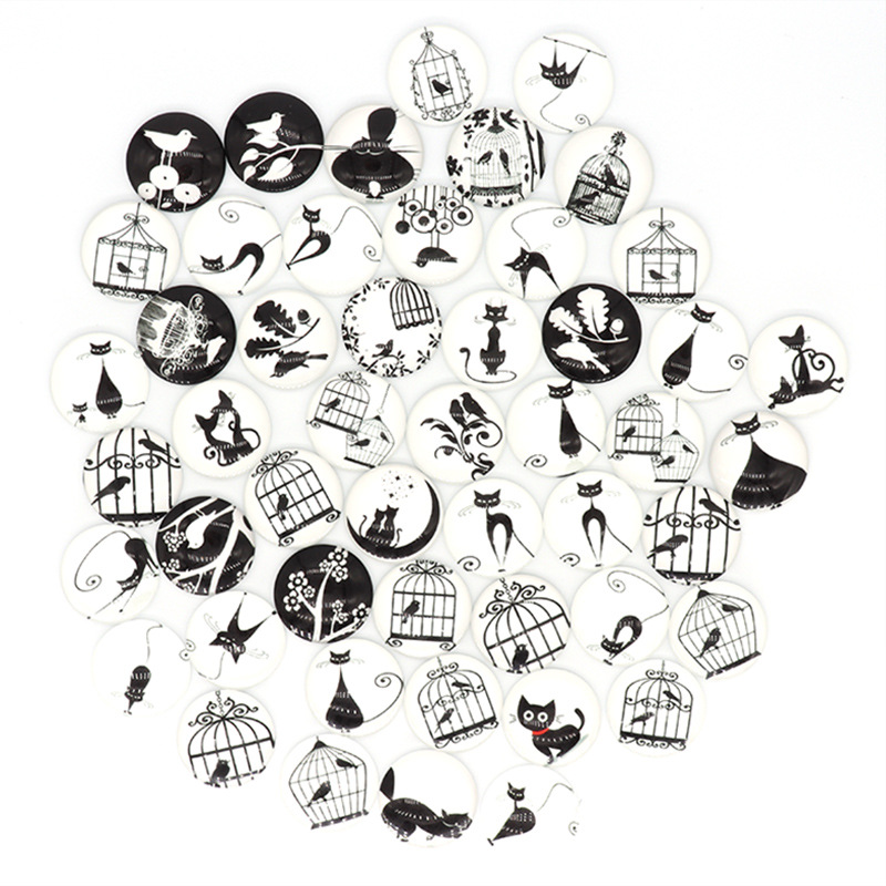 검은 고양이 새 케이지