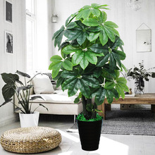 �����lؔ���҃��bGɫֲ����͔[���ٻ�����Gֲ�������Լ٘�