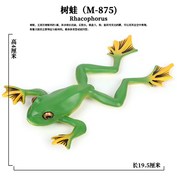 PL127-875 tree frog