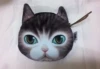 Cat 3