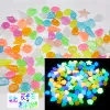 20-30mm luminous stone+luminous marine animal mixed color mixed color/package