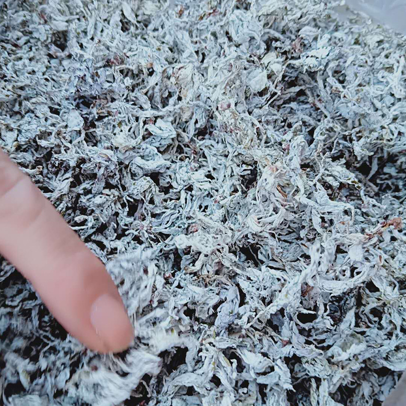 产地批发 莓茶生态茶藤茶苦甘露茶嫩芽 明前谷雨茶嫩叶厂