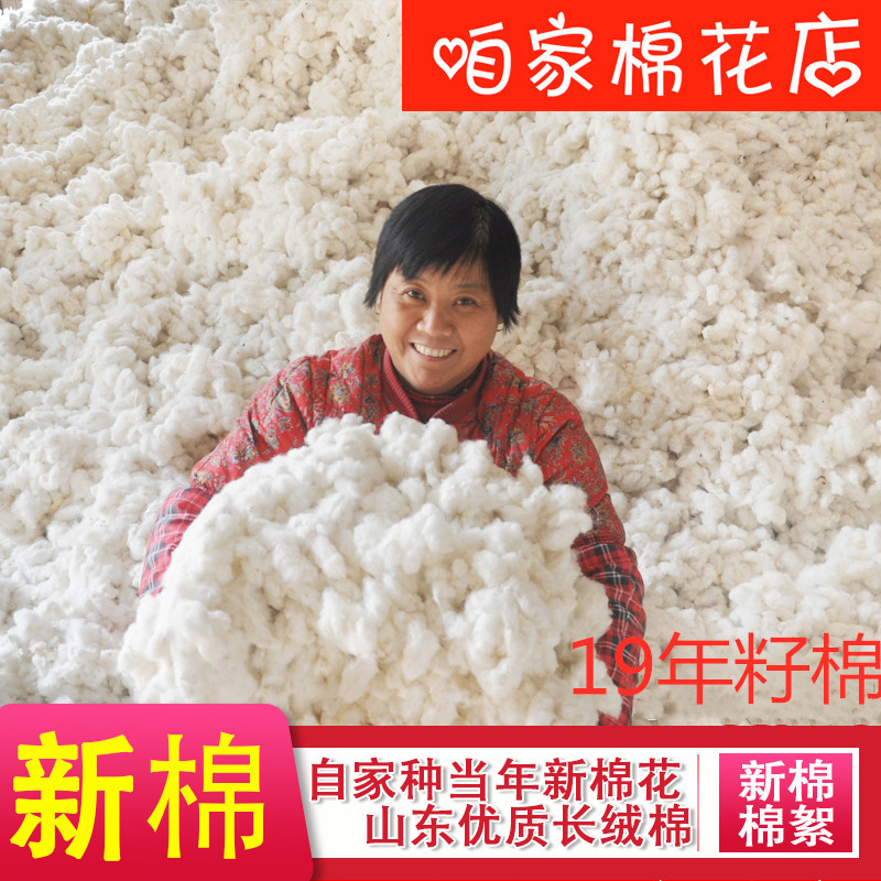 Supply large amount of cotton seeds in Shandong hand-picked cotton…
