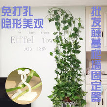 ���l�G�}�̶����o��ճ�N���~��ᔾGֲ�����̶������L�������h�̶�