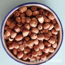 ���d��ș�����l������о�tɏ�ӂ�һ��؛Դ��؛����