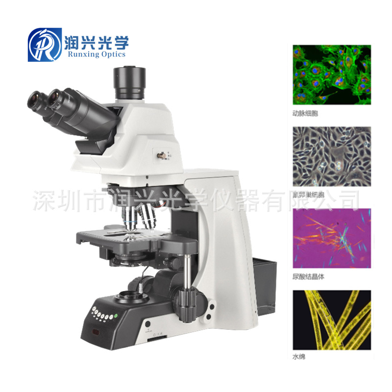 NE930研究级无限远视频电动平台正置生物显微镜相衬暗场DIC显微镜