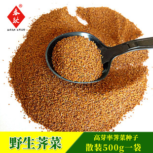 �S�����lҰ���j�j�˷N�� �ļ�Ұ�� �j�˷N��500g�̨�׷N�߲˷N��