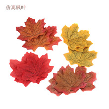 8cm~ ~~ӽ@辰cƷ30Ƭ/