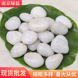 厂家批发白色抛光鹅卵石天然雨花石园林景观工程铺路装饰小石子