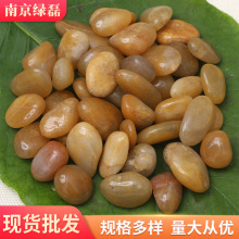 黄色抛光鹅卵石 园林景观工程铺路雨花石头 水池垫底鱼缸造景石子