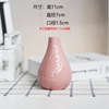 Small fresh bottle detergent flower-shaped, modern and minimalistic plant lamp