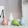 Small fresh bottle detergent flower-shaped, modern and minimalistic plant lamp