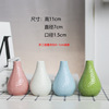 Small fresh bottle detergent flower-shaped, modern and minimalistic plant lamp