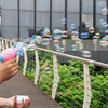 Bubbles, changeable concentrate, wholesale