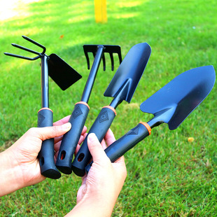 �N�����߼��÷N��С�P�ӈ@ˇ�������bС�F�P�N�˶���Ӻ��P��z