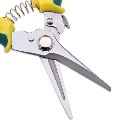 Manufacturer wholesale rubber and plastic straight pruning shears, gardening scissors, household stainless steel pepper picking scissors