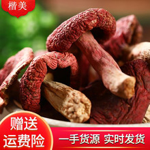 ��ϼt���a�����l�˹��tĢ������ʳ�þ�ɢ�b250�˸�؛Ұ�����x