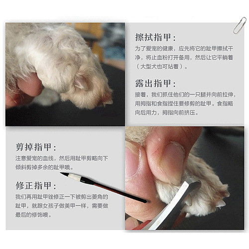Cross-border pet shaver accessories, beauty scissors, trimming set, flat shearing tools, cat and dog nail clippers, steel comb