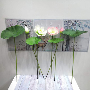 ���l �ָ��^�z������~ ���쎧�U�ɻ�ɏ�����ˮ���bٻ�