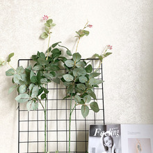 ���滨2��õ���~���~�� ����Gֲ���� ��c�Ҿ��b��� �ٻ��[��