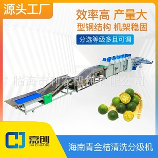 嘉创海南小金桔清洗分级机果蔬清洗分选机大小分级设备厂家