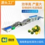 海南果蔬小金桔分级机