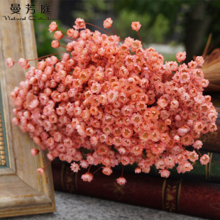 ����С�ǻ��ɻ����� �Ҿ��b�����С�r��diy�������Ĕz�������l