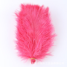 ���Q؛Դ�¿��ɫ��Ȼ�r�Bë25-30cm��̨���b�b�DIY�r�Bë