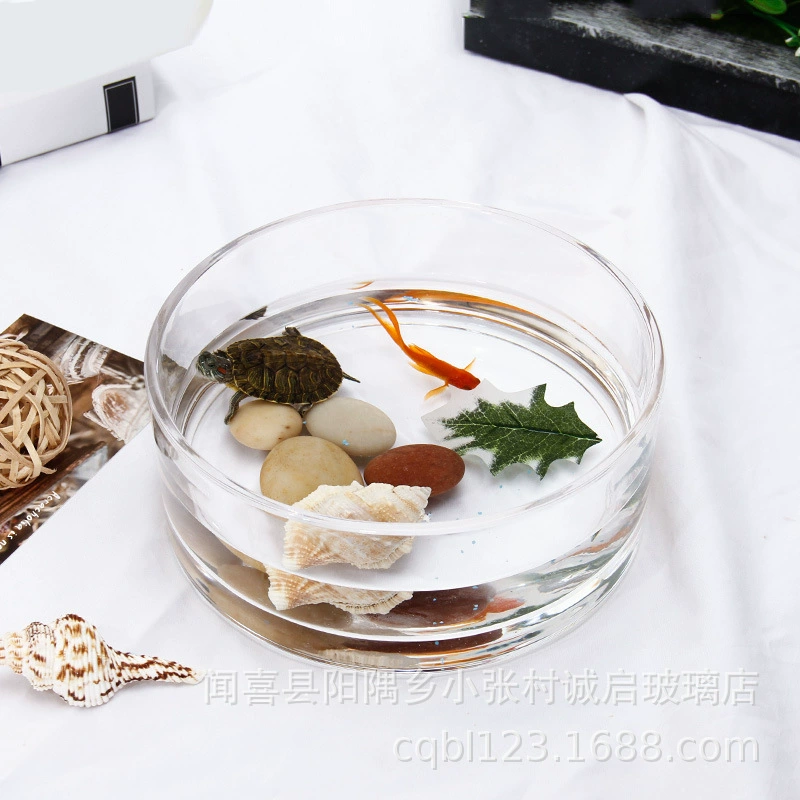 Оптовая продажа цветочный горшок из утолщенного стекла прямая трубка короткая гидропонная миска для кошек подсвечник мясистый Лотос однолистный горшок для лотоса прямая трубка ваза