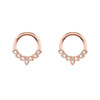 Zirconium stainless steel, nose piercing, earrings, European style, wholesale