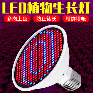 �羳���Nledֲ���ȫ���V�t�{�a������Ҵ����߲˶����������L��