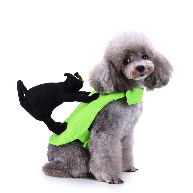 テディ服、ビションフリーゼ用の面白いコウモリコスチューム、猫に乗る服、ペット犬用ハロウィン・クリスマス服|undefined