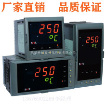 ��ۺ睙NHR-1100F-31-X/X/X-D���@��ؿ؃x
