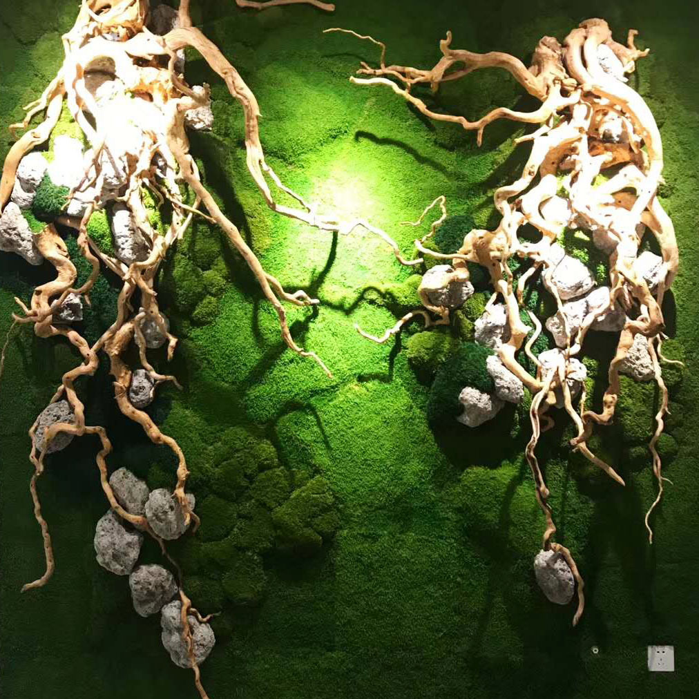 Musgo eterno planta pared cola curvada bloque de musgo vegetación musgo flor seca césped piel pluma grande musgo gris grande flor eterna musgo