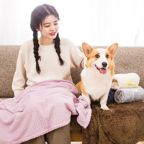 Cat blanket, universal for all seasons, dog sleeping pad, cover and sleeping mat, cat nest, kennel, midwifery pet supplies