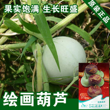 �L�����J�N�Ӻ��J��������J�N��С�A���J�N���߲˷N�����l�˷N��