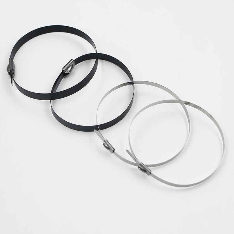 亮面SUS201不锈钢金属扎带自锁滚珠4.6 7.9 10 12 16 20 一拉就紧